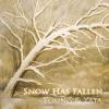 cover of CD titled "Snow has fallen".